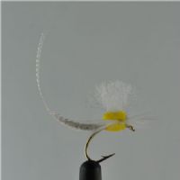 DRY1213 - May fly Foam - Str.8<br>