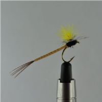 DRY1222 - CDC Mayfly - Str.10<br>
