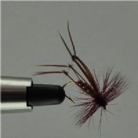 DRY1223 - Tørflue - Hopper Claret - Farve: Mørkerød med Grøn flashing - Str. : 10