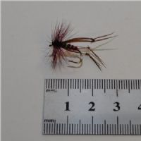 DRY1223 - Tørflue - Hopper Claret - Farve: Mørkerød med Grøn flashing - Str. : 10