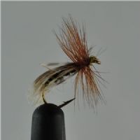 DRY1231 - Europa 12 - Str.12<br>Europa 12 en af vores mest solgte fluer