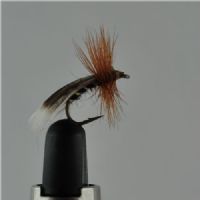 DRY1232 - Europa 12 - Str.14<br>