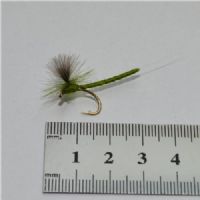 DRY1233 - CDC Mayfly - Str.10<br>