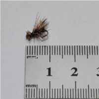 DRY1253 - Elkhair Caddis - Str.16<br>