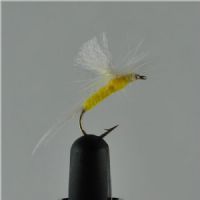 DRY1254 - Parashute Gul Forslända - Str.12<br>