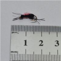DRY1261 - Carpenter ant - Str.14<br>