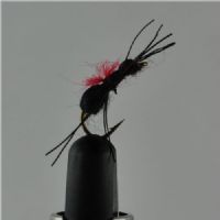 DRY1261 - Carpenter ant - Str.14<br>