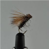 DRY1262 - Elkhair Caddis - Str.12<br>