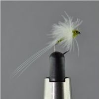 DRY1312 - Barbless CDC Biot Spinner BWO - Str.14<br>