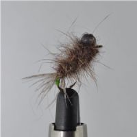 DRY1321 - Leadhead Caddis Pupa - Str.12<br>