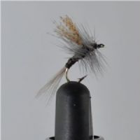 DRY1322 - Gordon Quill - Str.16<br>