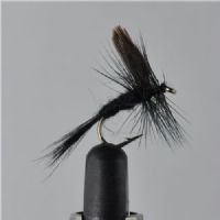 DRY1331 - Black Gnat - Str.12<br>