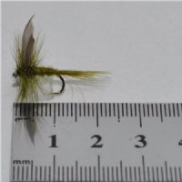 DRY1332 - Oliv Dun - Str.12<br>