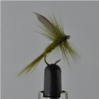 DRY1332 - Oliv Dun - Str.12<br>