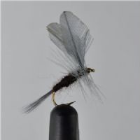 DRY1333 - Maginata Du - Str.12<br>