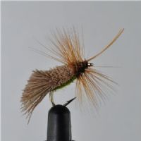 DRY1353 - G&H Sedge Green under - Str.10<br>
