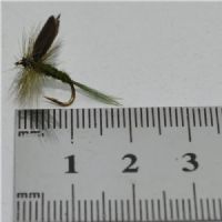 DRY1354 - Olive Dun - Str.14<br>