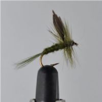 DRY1354 - Olive Dun - Str.14<br>