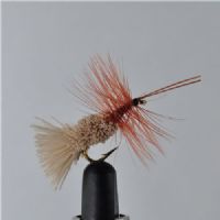 DWS0111 - G&H Sedge  - Str.12<br>