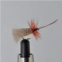 DWS0113 - G&H Sedge - Str.14<br>