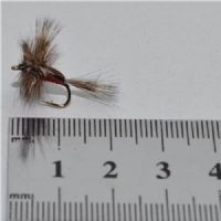 DWS0114 - Red Humphy - Str.12<br>