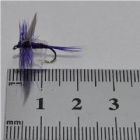 DWS0121 - Deep Purple - Str.12<br>