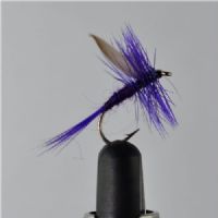 DWS0121 - Deep Purple - Str.12<br>