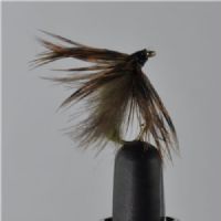 DWS0122 - Dip Caddis Emeger  Olive - Str.14<br>
