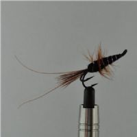 DWS0123 - Frances Dobb Red ad Black - Str.6<br>