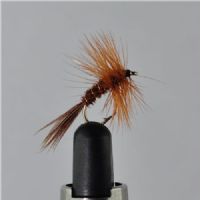 DWS0131 - Pheasant tail - Str.14<br>