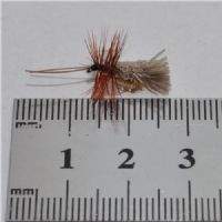 DWS0134 - GH Sedge - Str.16<br>