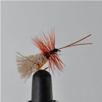 DWS0134 - GH Sedge - Str.16<br>