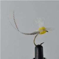 DWS0142 - May Fly - Str.10<br>