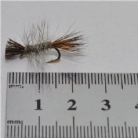 DWS0143 - Dyret - Str.12<br>