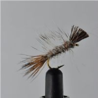 DWS0143 - Dyret - Str.12<br>