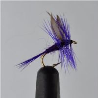 DWS0151 - Deep Purple - Str.14<br>