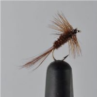 DWS0152 - Pheasant tail - Str.16<br>