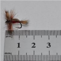 DWS0154 - Red Humphy - Str.14<br>