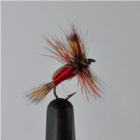 DWS0154 - Red Humphy - Str.14<br>