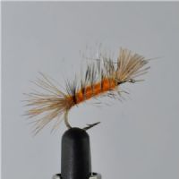 DWS0171 - Dyret - Str8.<br>