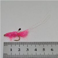 DWS0173 - DF Shrimp - Str6.<br>
