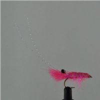 DWS0173 - DF Shrimp - Str6.<br>