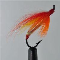 EL0162 - Rainbow Artic Fox - Str.4<br>