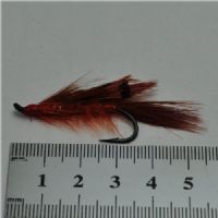 EL0212 - General Pract. Single - Str.2<br>