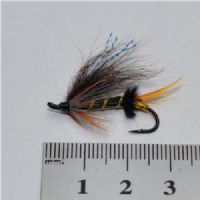 EL0354 - Thunder AF - Str.8<br>
