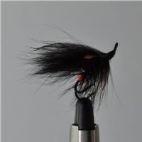 FLY0642 - Midtnight  - Str.8<br>