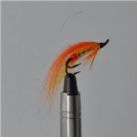 FLY0743 - Rainbow - Str.6<br>