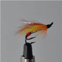 FLY0744 - Rainbow - Str8.<br>