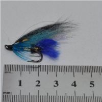 FLY0832 - Sierra Black&Blue silver body - Str.6<br>