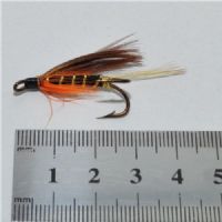 FLY0921 - Thunder&Lighting - Str.2<br>